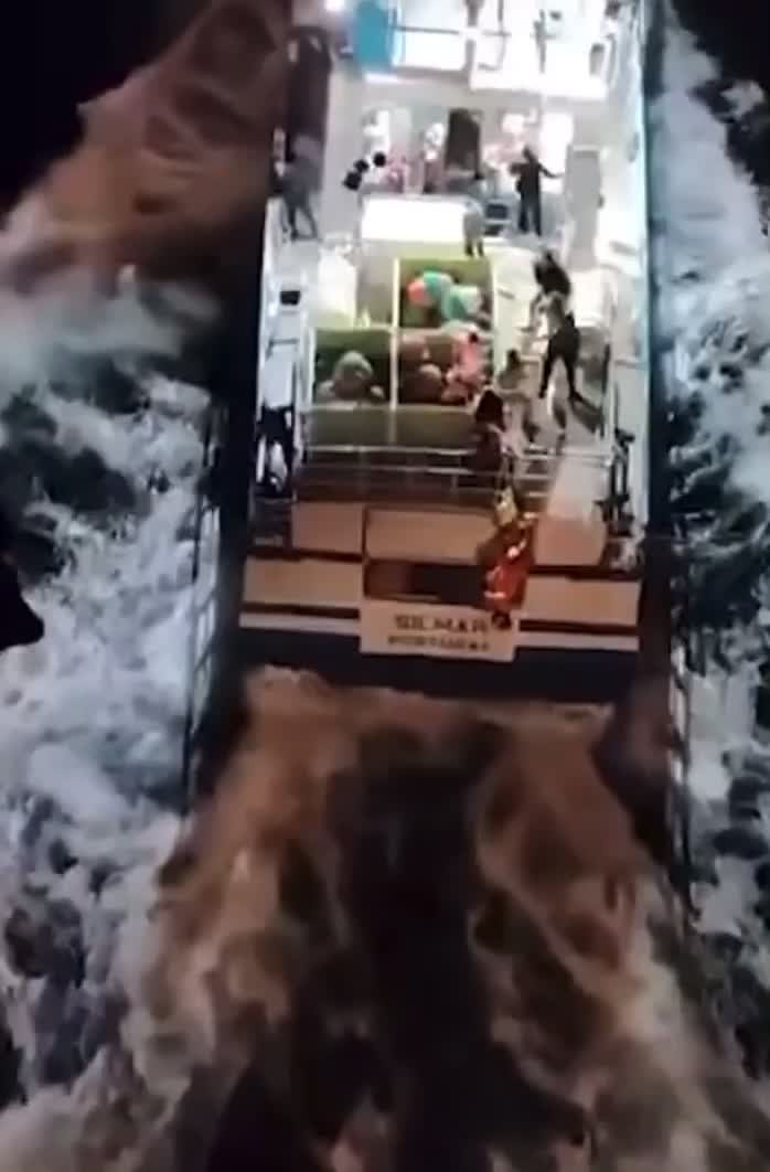 VÍDEO |Rescat de pel·lícula: una família  salvada després d'atac d'orques al iot