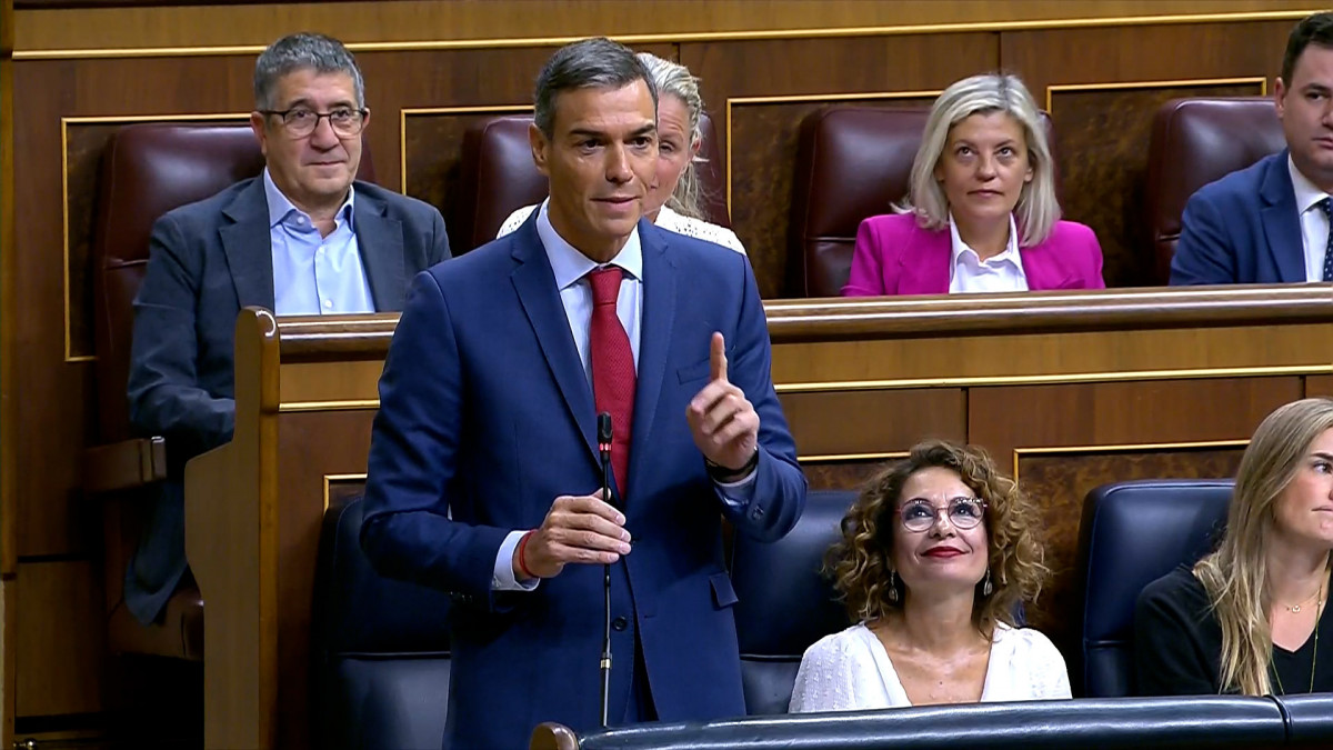 Pedro Sánchez en la sesión de control del Congreso
