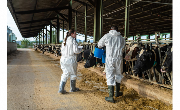 Alerta sanitària a Girona, detectat un nou cas de DNC que amplia el radi de 50km