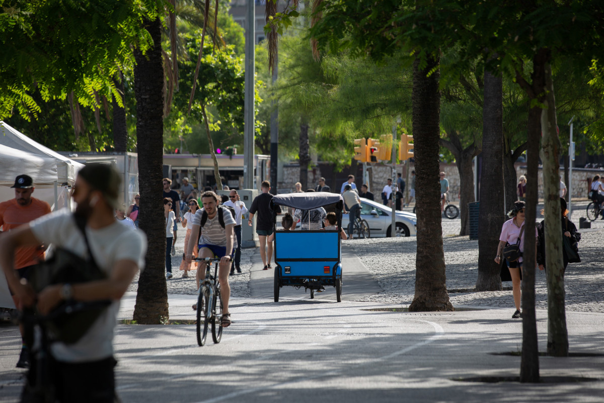 Archivo - Una imagen del paseo Colón de Barcelona