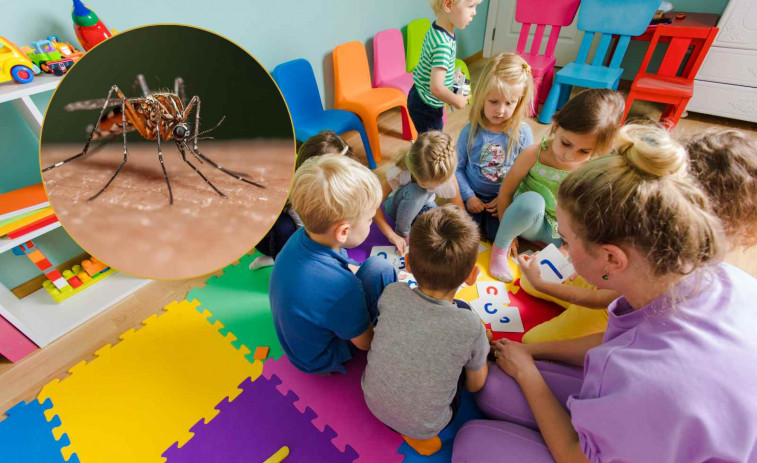 Plaga de mosquits a 38 guarderies de Barcelona: els nens arriben a casa plens de ferides