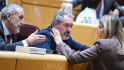 El Senat perd el seu focus territorial: el 75 % de les preguntes se centra en la política nacional