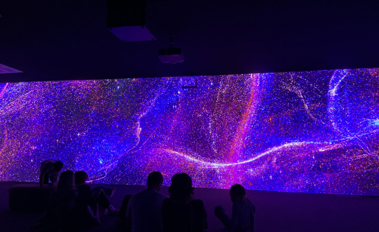 VÍDEO | La riquesa de la naturalesa en Caixaforum : una exposició que deixa sense paraules