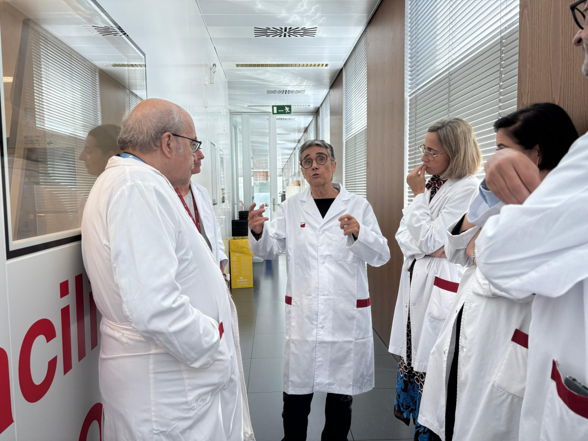 WhatsApp Image 2025 10 29 at 11.48.15