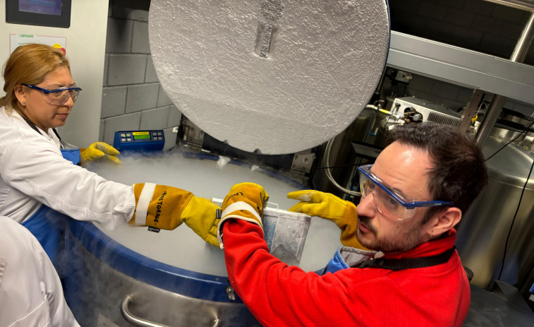 Trenta anys de lideratge: el Banc de Cordó de Catalunya, un model mundial de ciència i generositat