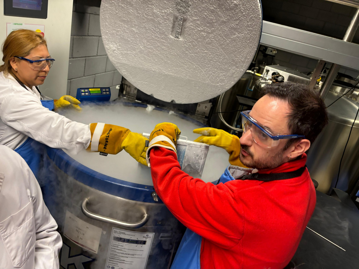 WhatsApp Image 2025 10 29 at 12.04.26 (1)