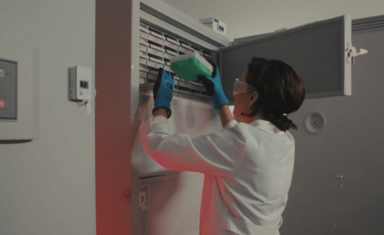 La Fundació Pasqual Maragall llança ALFA10, un projecte pioner per a predir el risc d'Alzheimer