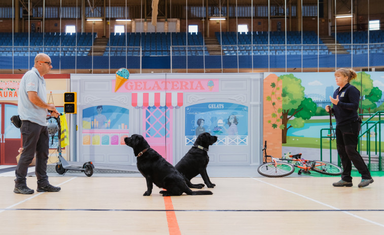 “Molt més que un gos”: Reus descobreix l'increïble treball dels gossos guia de la ONCE