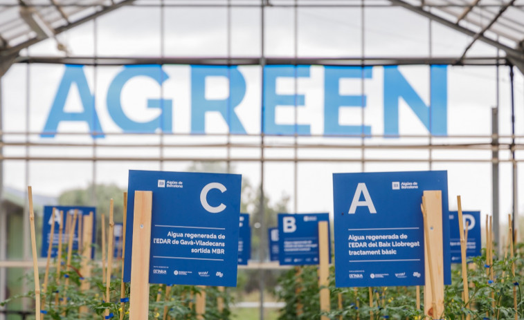 Agreen demostra que l'aigua regenerada és clau per a l'agricultura sostenible
