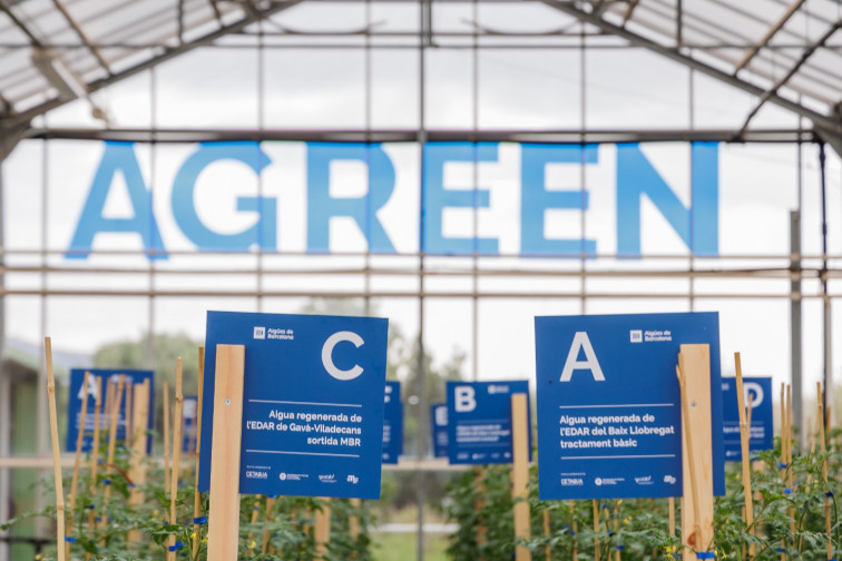 Agreen demostra que l'aigua regenerada és clau per a l'agricultura sostenible