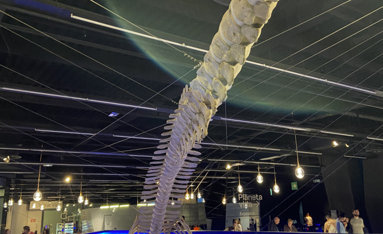 El Museu de Ciències Naturals : una visita gratuïta  a l'inavaluable