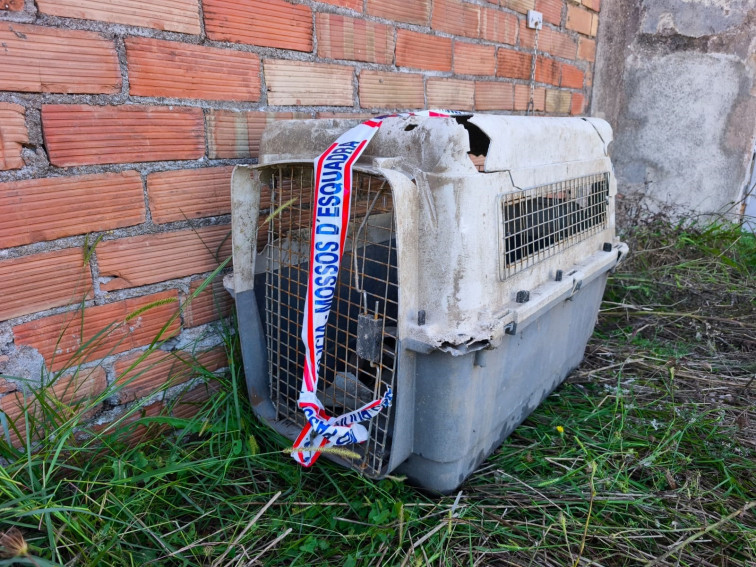 Detingut a Santa Coloma de Farners per matar a la seva gossa llançant-la a l'aigua dins d'una gàbia tancada