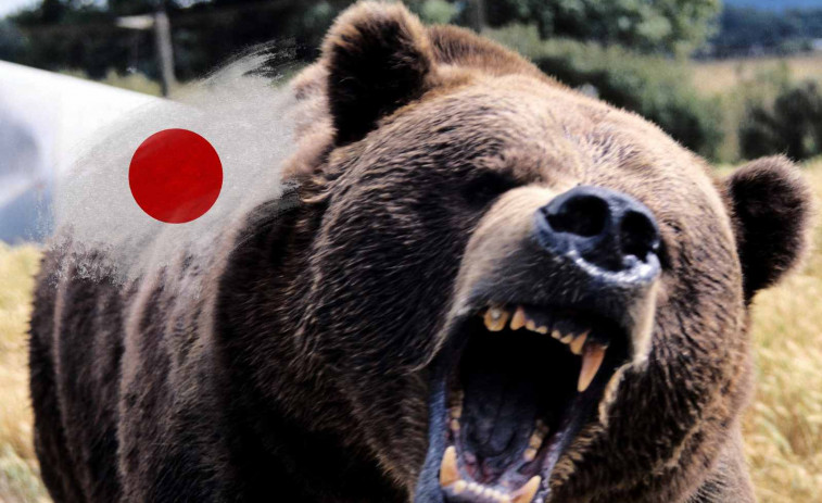 El Japó declara la guerra als óssos: l'exèrcit surt als carrers després de deu morts