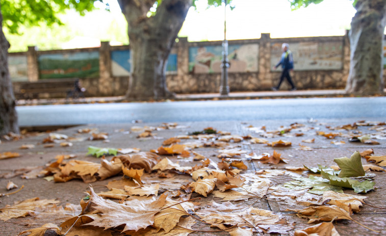El canvi climàtic retarda la tardor a Catalunya