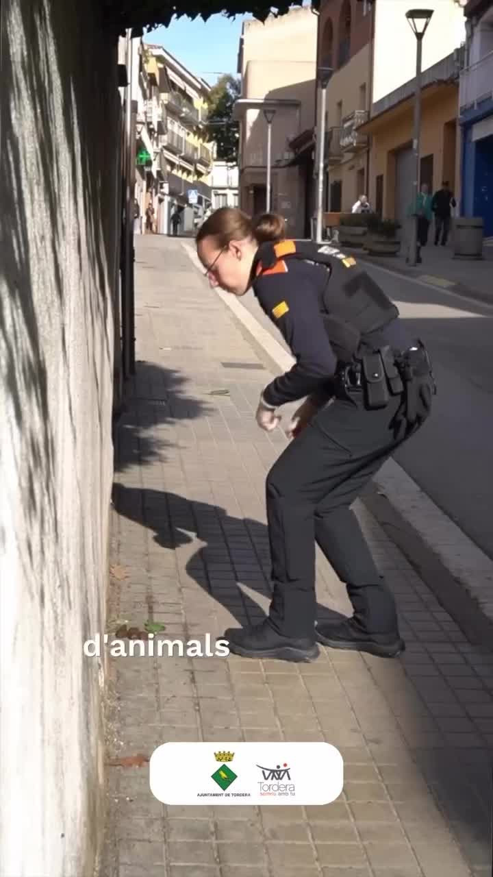 🔎 Fem ho bé  pel respecte a tothom, recull els seus excrements.👉Regularment es duen a terme re