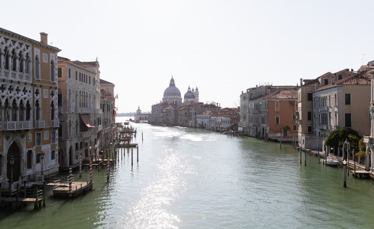 VÍDEO | : El dofí Mimmo  que no es va de Venècia i preocupa biòlegs