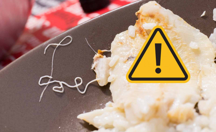 VÍDEO | Analitzen un lluç comprat a un supermercat d'Espanya i descobreixen que està ple d'anisakis