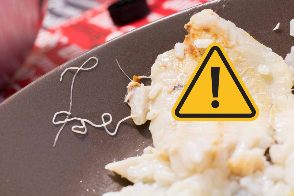 Alerta, anisakis   canva