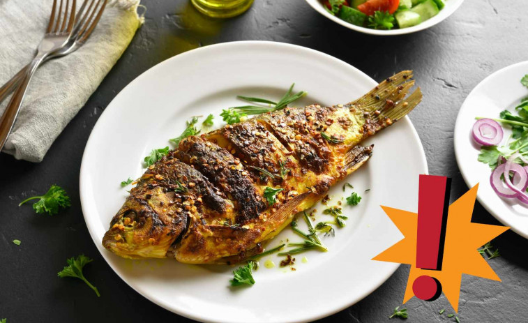 Catalunya es podria quedar sense peix aquest Nadal: el 80% de la flota pesquera està parada