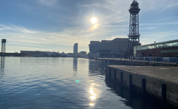 VÍDEO | Dofins mulars fan història a Barcelona: desè albirament prop de les  instal·lacions