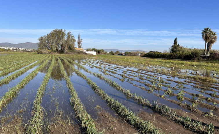 Catalunya presenta en la COP30 la seva estratègia per a combatre el metà agrari