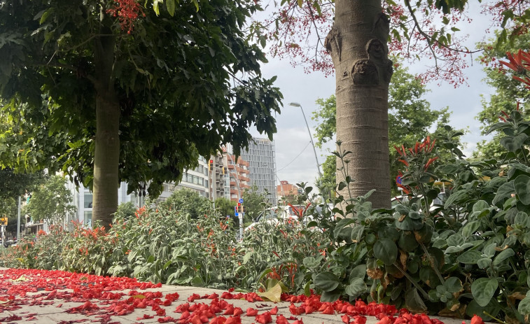 La Generalitat impulsa el relleu agrari amb la primera convocatòria pública d'accés a terres en desús