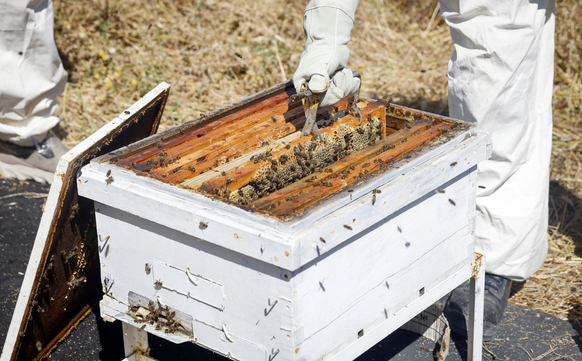 EuropaPress 6959220 nota prensa fotos comunidad madrid previene riesgo incendios control (1)