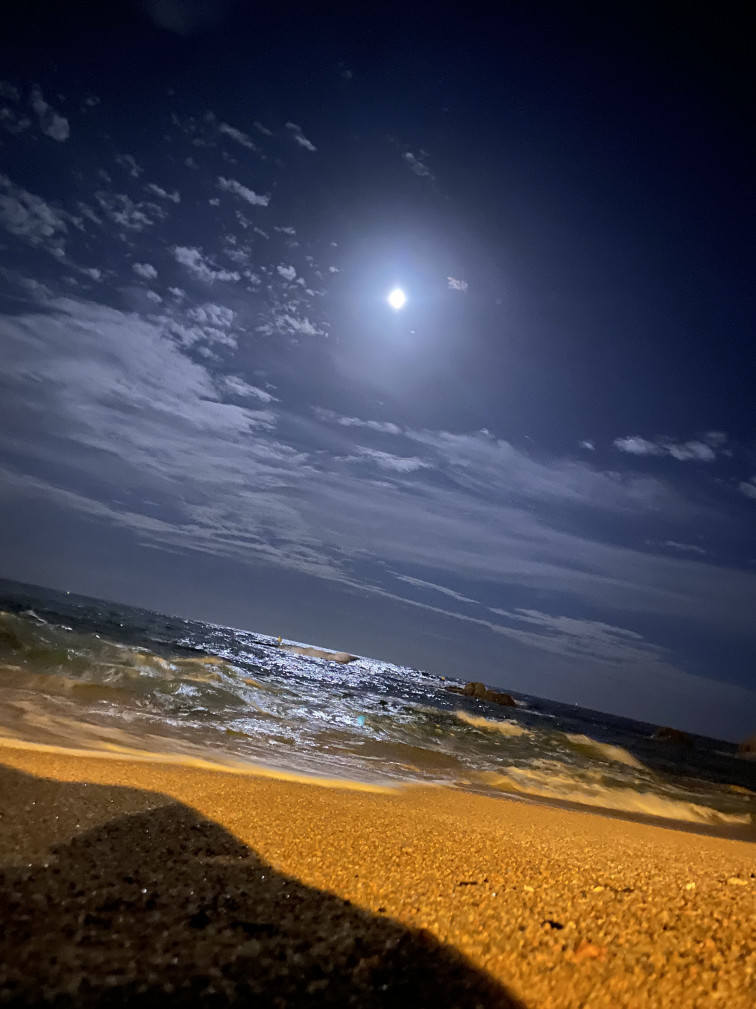 Recuperació en risc: Què revelen les noves dades dels embassaments de Catalunya?