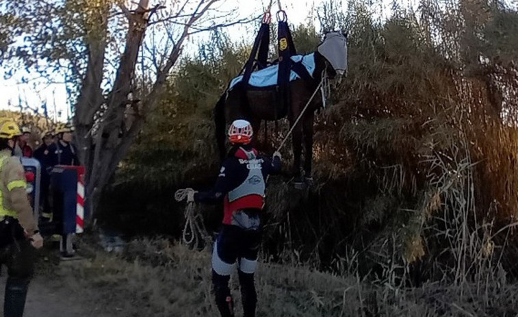 Els Bombers rescaten a un cavall que ha caigut en un riu a Bellvís