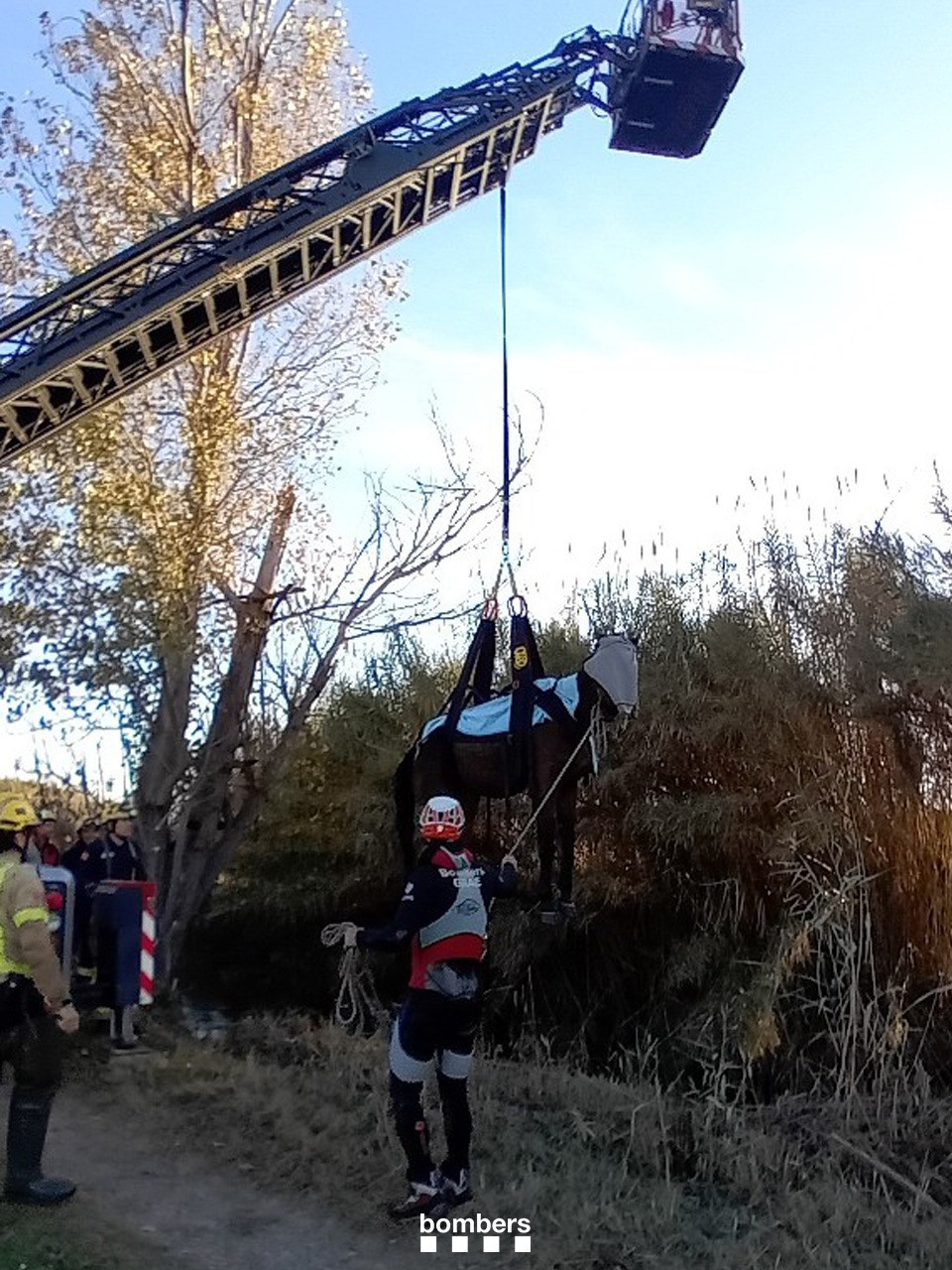 EuropaPress 7133710 caballo rescatado autoescalera