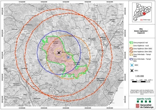 EuropaPress 7132331 detectados dos casos positivos peste porcina africana cerdanyola barcelona (1)