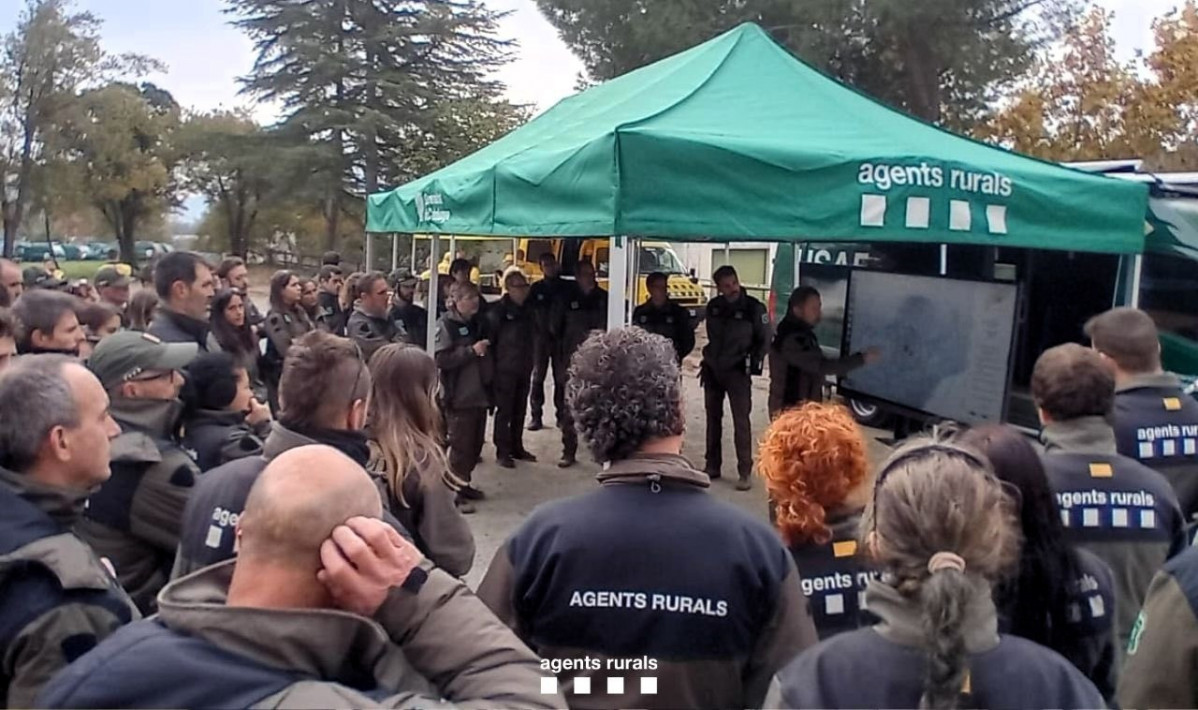 Imagen del despliegue