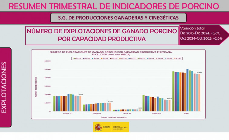 Rècords sota amenaça : la pesta porcina africana pot portar la tempesta econòmica