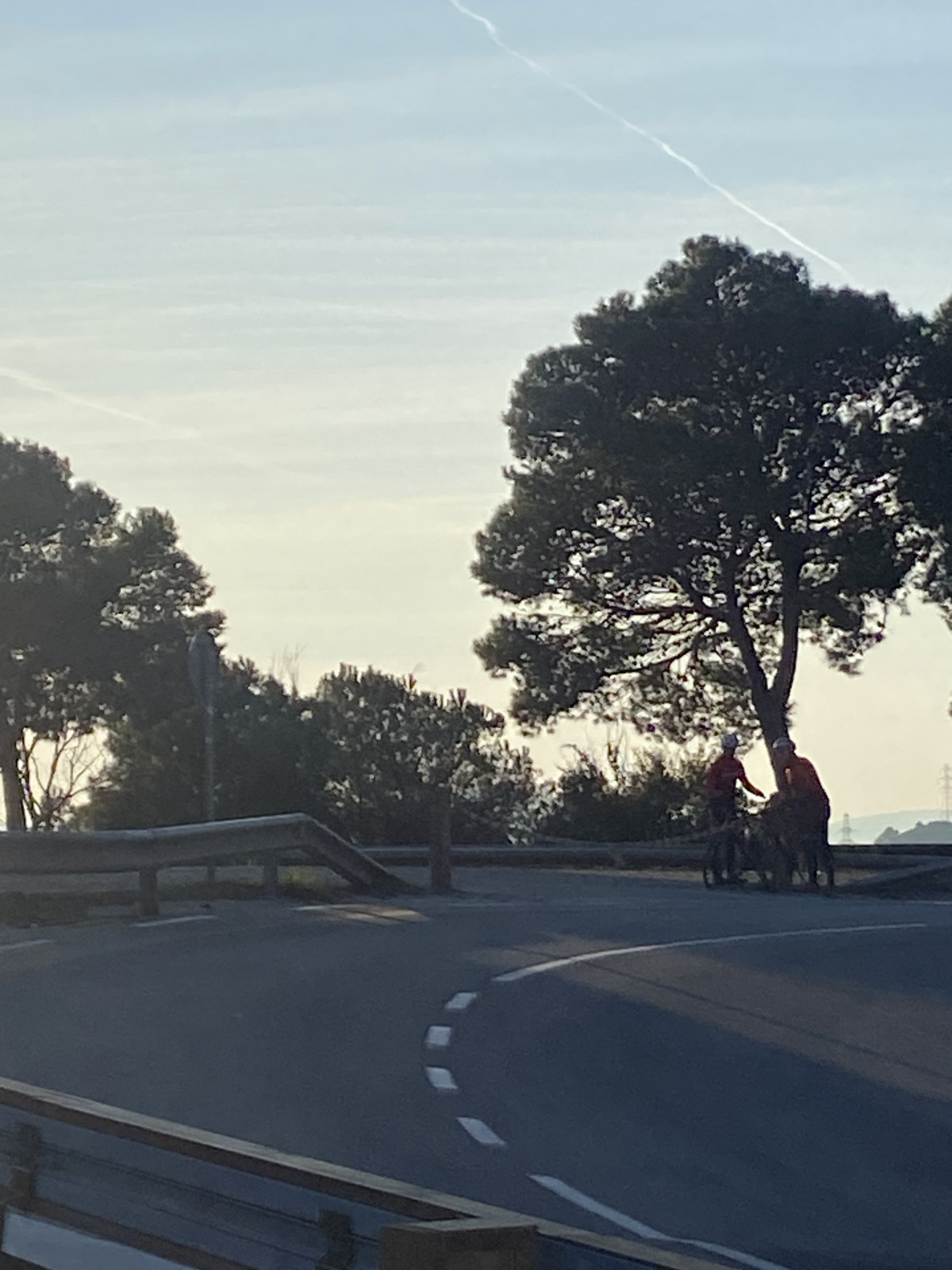 Notica uso exclusivo