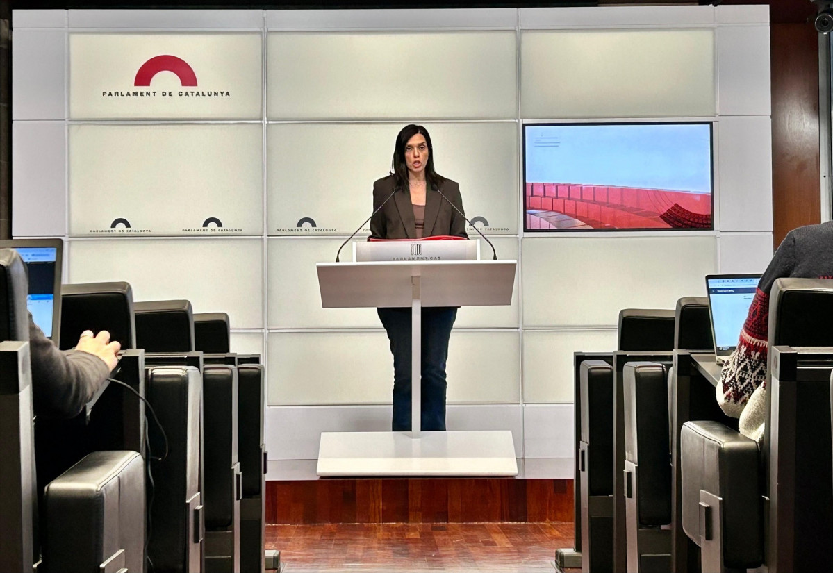 EuropaPress 7142570 portavoz psc units parlament elena diaz rueda prensa