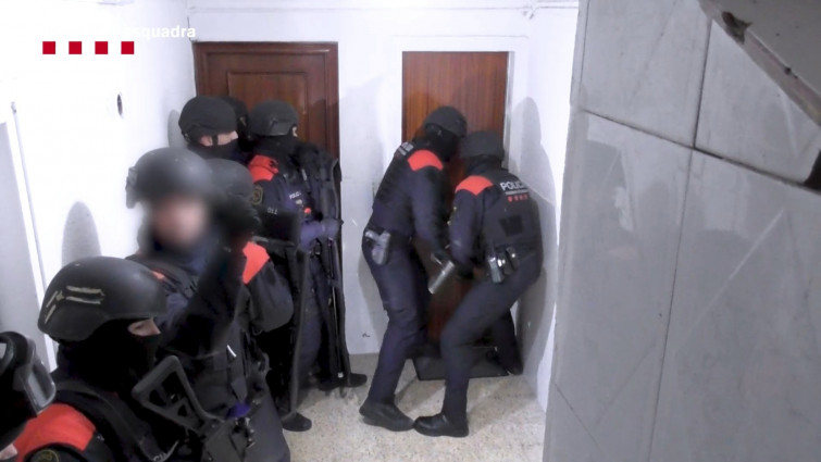 800 plantes i 9kg de droga : cop dels Mossos a Gavà