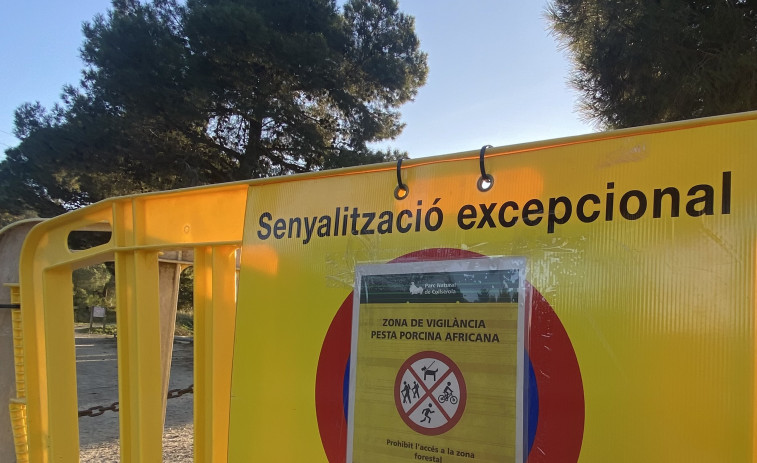 Pesta porcina africana : La UE publica la llista de municipis catalans amb restriccions d'emergència