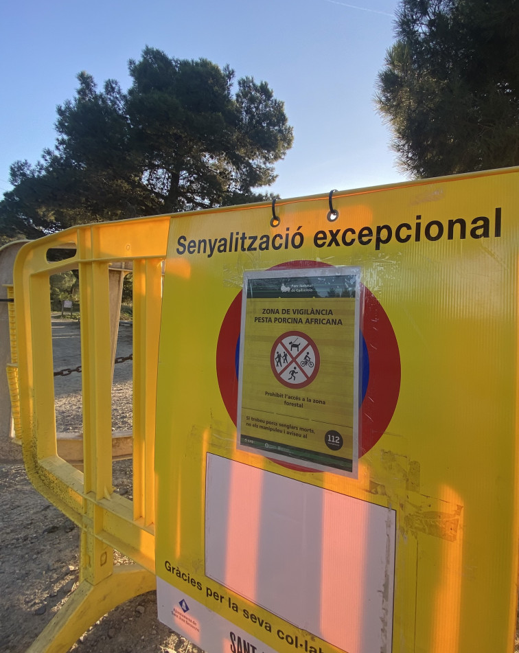 Pesta porcina africana : La UE publica la llista de municipis catalans amb restriccions d'emergència