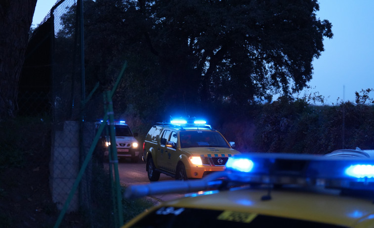 Un altre senglar mort  a la Universitat Autònoma de Barcelona