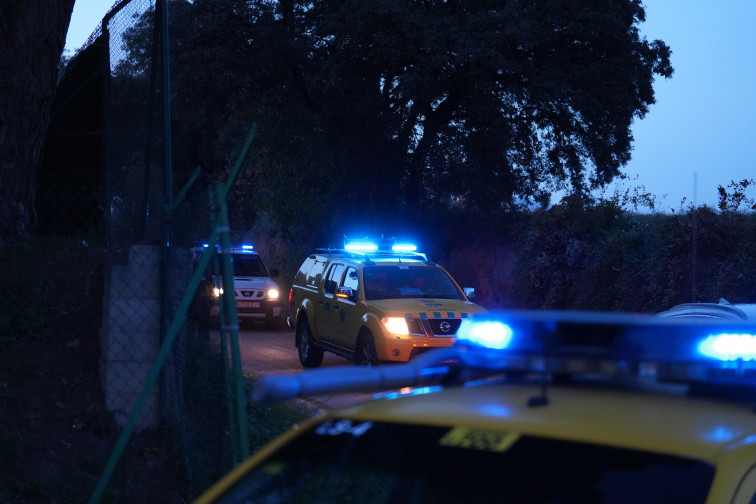 Un altre senglar mort  a la Universitat Autònoma de Barcelona