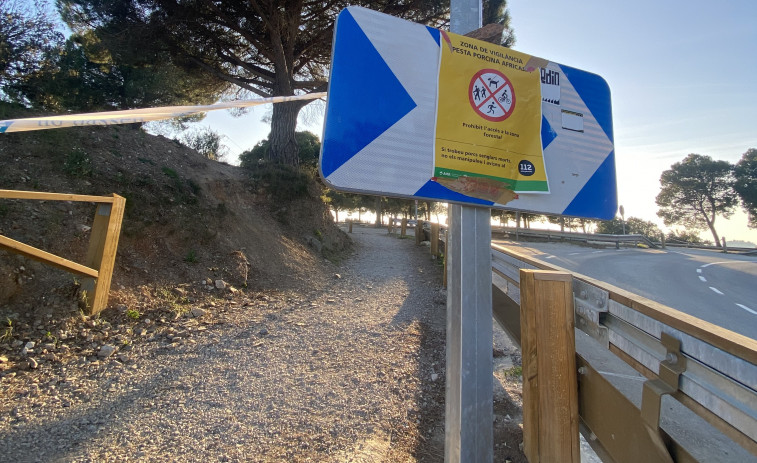 El Govern prohibeix l'accés al medi natural a 91 municipis per la pesta porcina africana