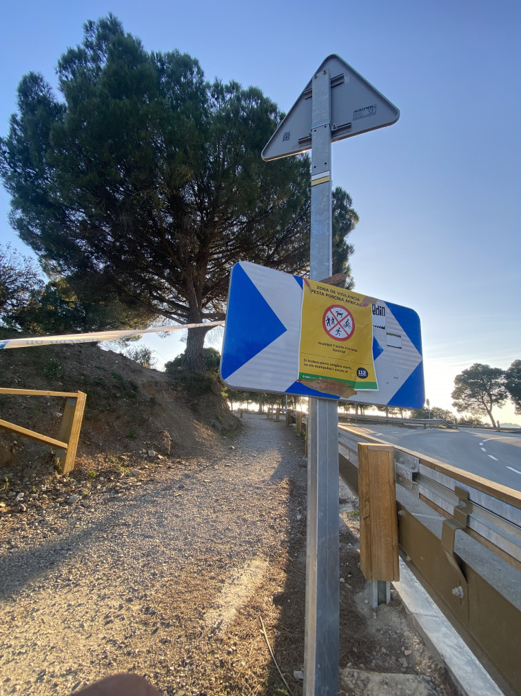 El Govern prohibeix l'accés al medi natural a 91 municipis per la pesta porcina africana