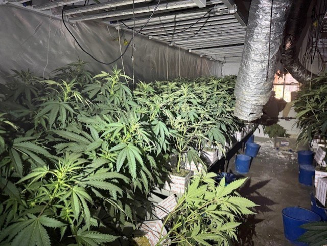 Dos misteriosos focs a Sant Martí, Barcelona, revelen xarxes ocultes de cànnabis i un gran frau energètic