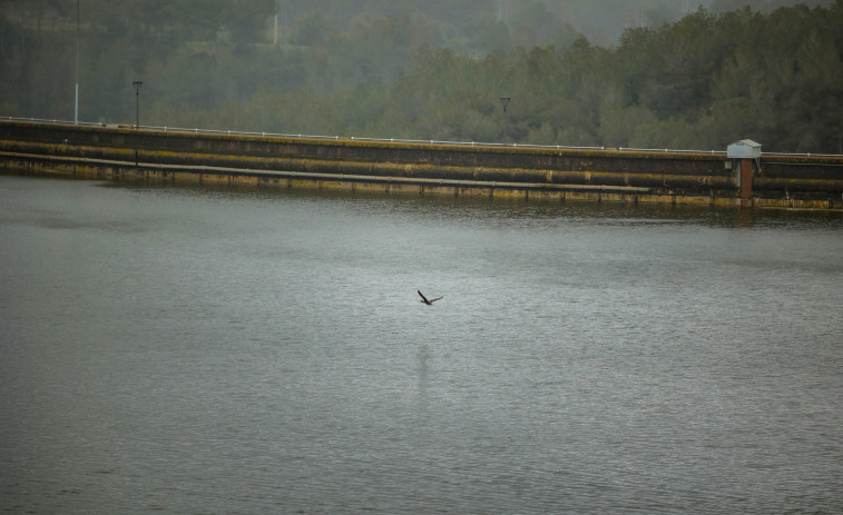 Estat dels embassaments de Catalunya