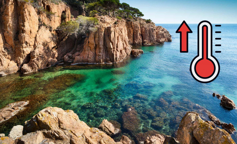 Calor extrema al mar: floracions primerenques i espècies exòtiques a la Costa Brava