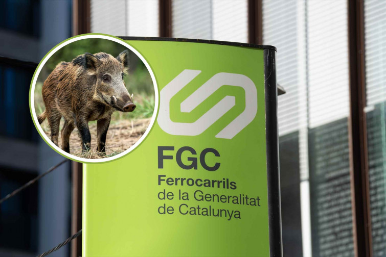 Un tren de FGC atropella un senglar: activats els protocols de PPA i interrompuda la circulació de la S2