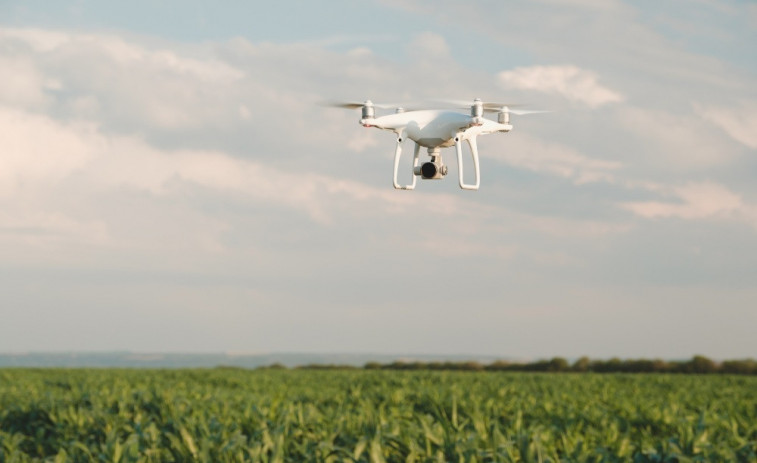 CaixaBank crea un catàleg específic per a empreses agroalimentàries en Facilitea