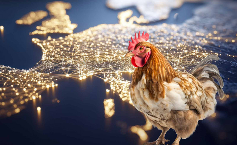 Alerta mundial per la grip aviària: científics simulen una pandèmia amb una mortalitat del 48% en humans
