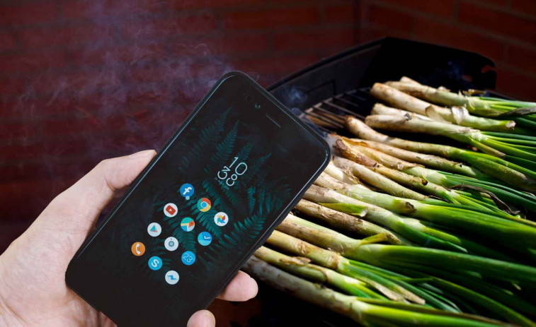 Arriba la 'Calçotapp', la primera 'app' dedicada als amants dels calçots