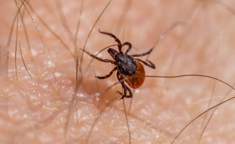 VÍDEO | El canvi climàtic 